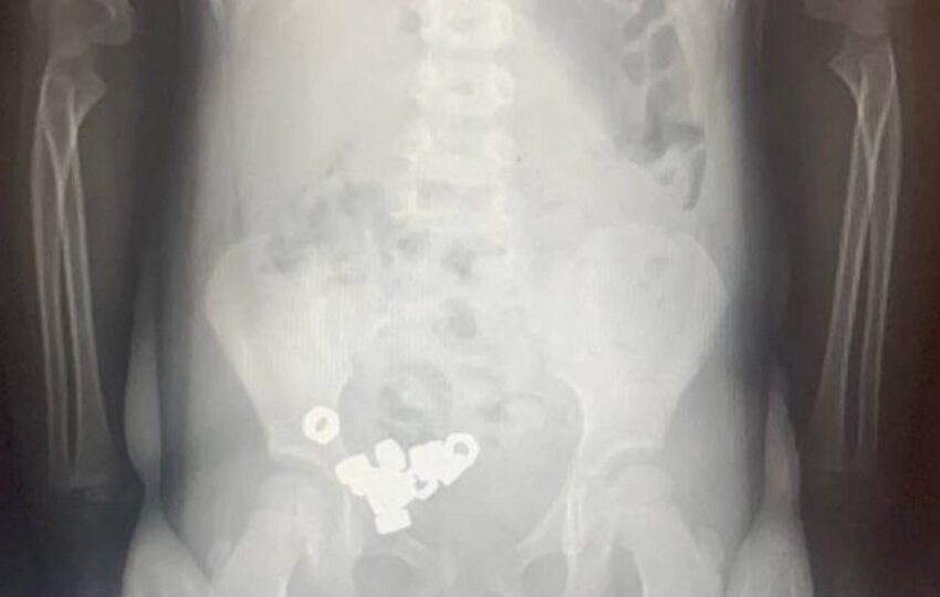 Медицина, Здоровье, Красота