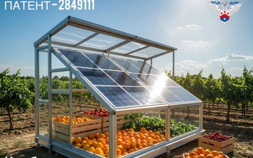 Наука и Образование