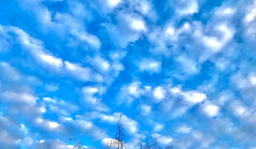 Опасность атаки БПЛА отменили утром 19 декабря в Воронежской области Армия