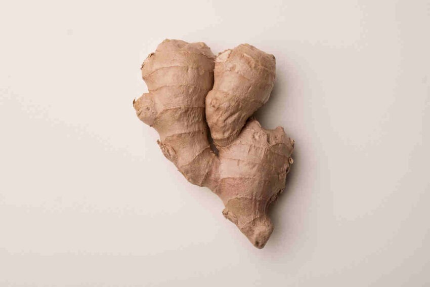 Как правильно выбирать имбирь: советы диетолога Медицина, Здоровье, Красота