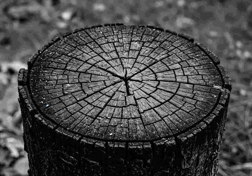 Происшествия. Криминал