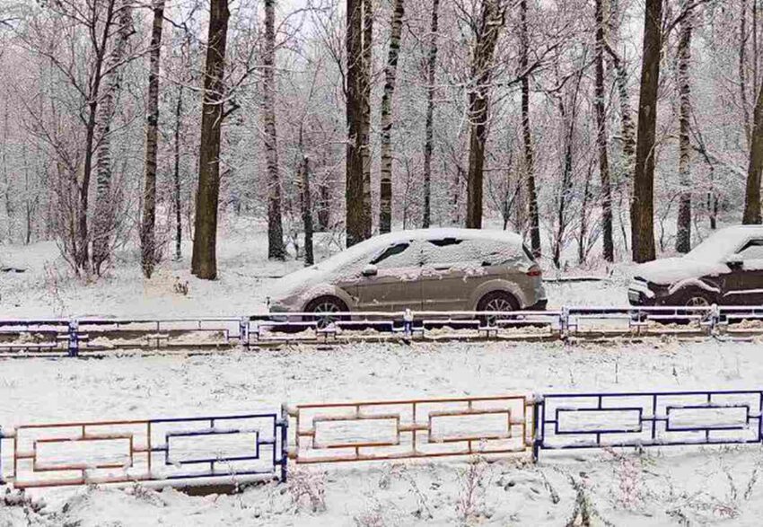 Безопасность. Права граждан