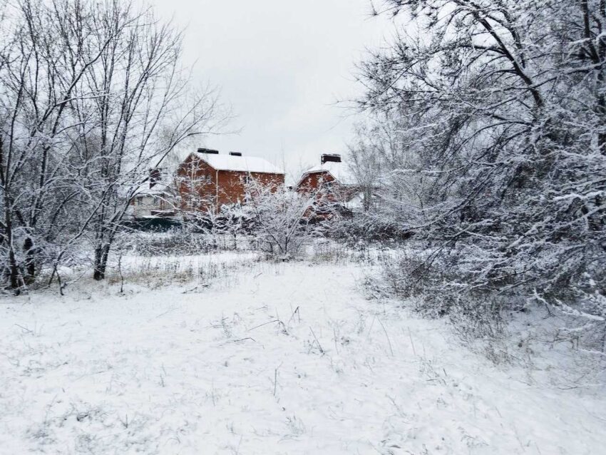 В Воронежской области глубина снега достигла 47 сантиметров Природа