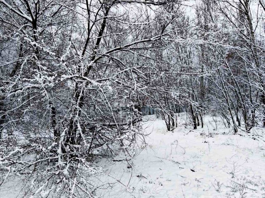 Безопасность. Права граждан