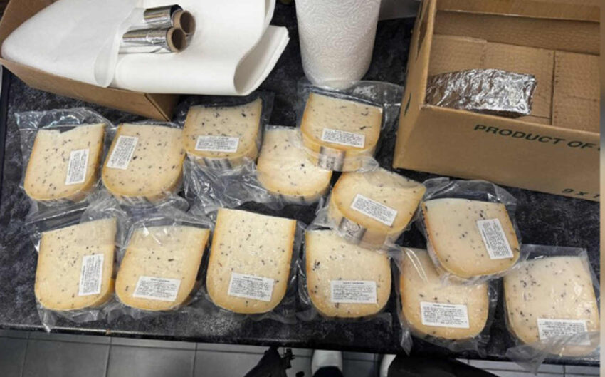 Безопасность. Права граждан