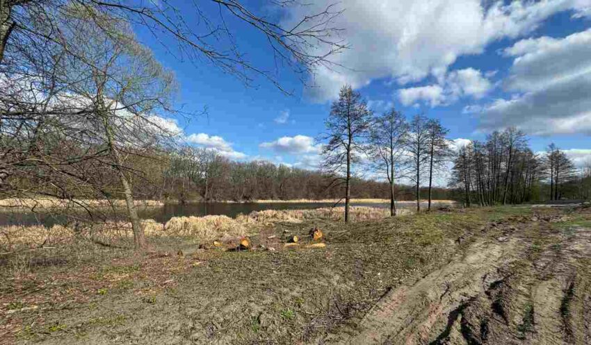 Безопасность. Права граждан