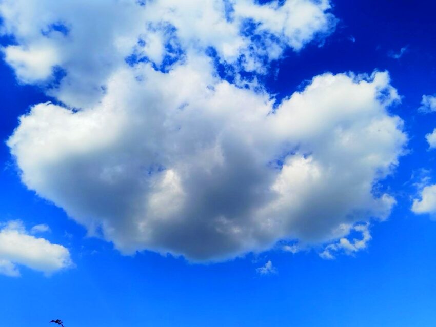 Происшествия. Криминал