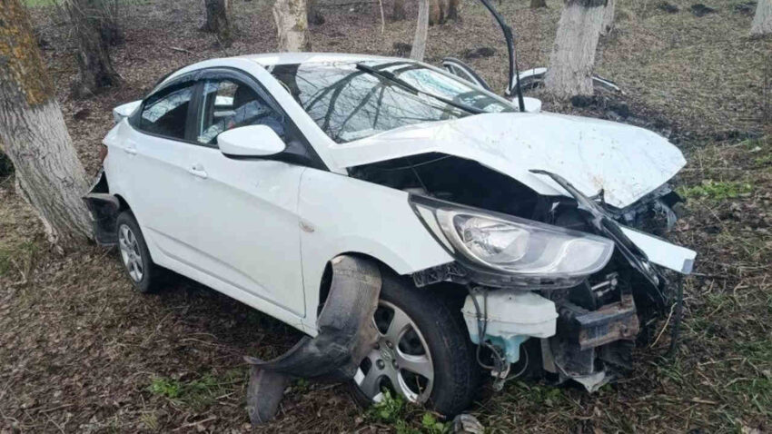 В ДТП с деревом на трассе под Воронежем пострадали мать с 7-летним сыном Авто