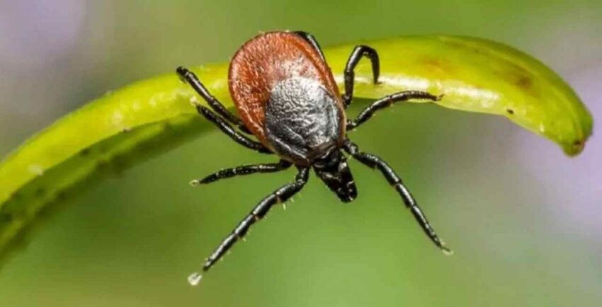 Безопасность. Права граждан