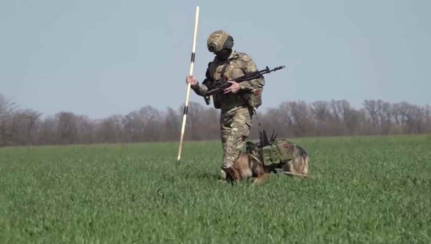 Армия