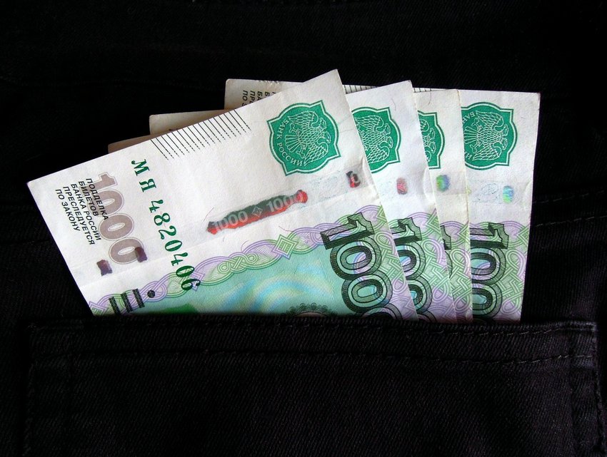 Более 20 тысяч воронежцев получают повышенную фиксированную выплату за работу в сельском хозяйстве Общество. Культура