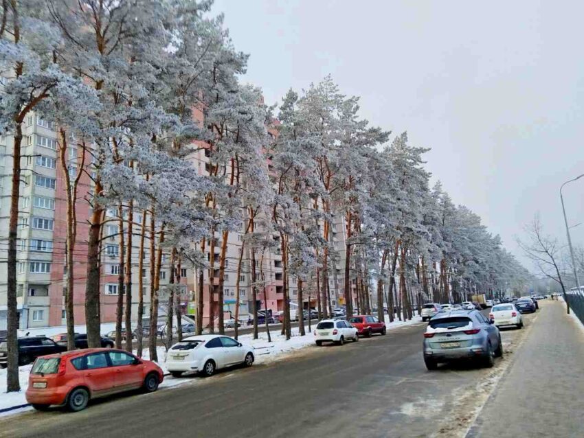 С воронежского ТСЖ за упавший на автомобиль снег взыскали 93,4 тыс рублей Авто