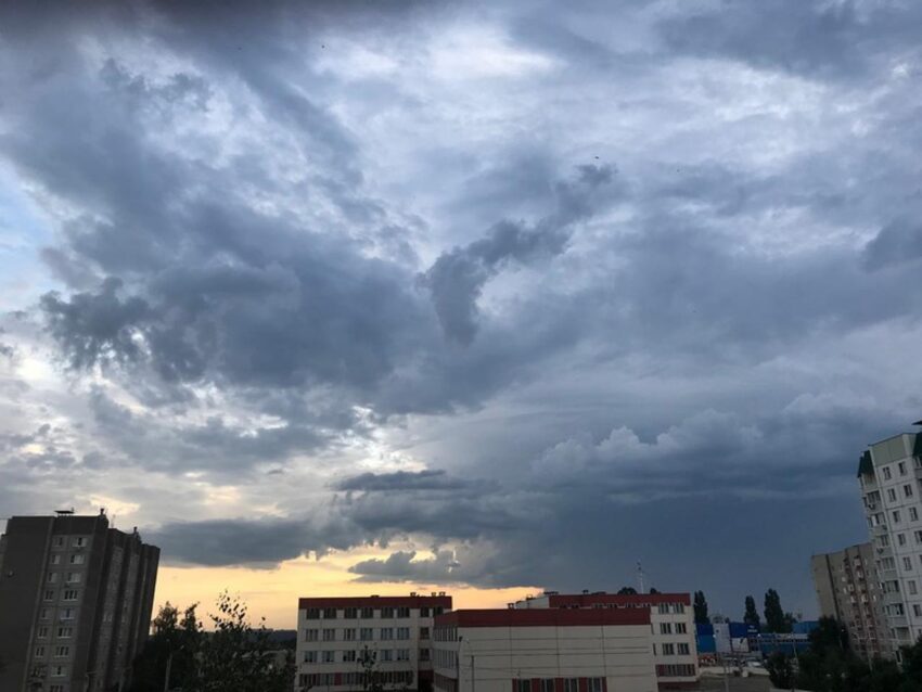 Безопасность. Права граждан