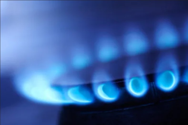 Предприятия Воронежской области задолжали газовикам более 84 млн рублей В России