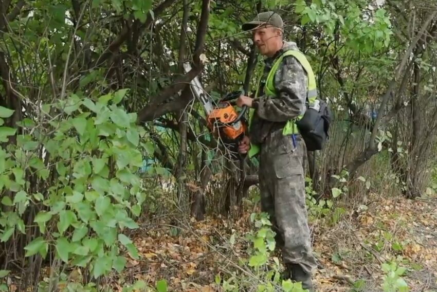 Глава Воронежа Сергей Петрин пригласил воронежцев на общегородской субботник Общество. Культура