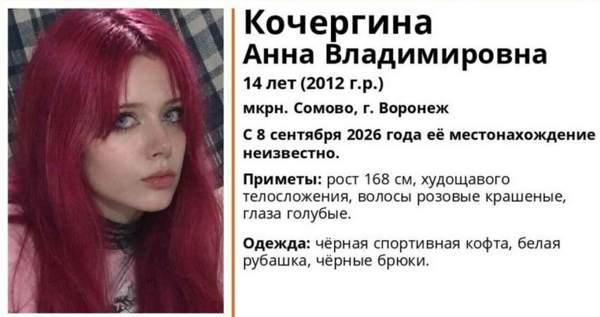 В Воронеже пропавшую 8 сентября 14-летнюю школьницу ищут Происшествия. Криминал
