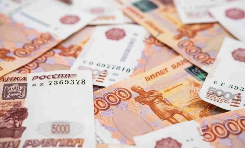 Выставили на продажу воронежскую эко-ферму по разведению цесарок за 50 млн Экономика