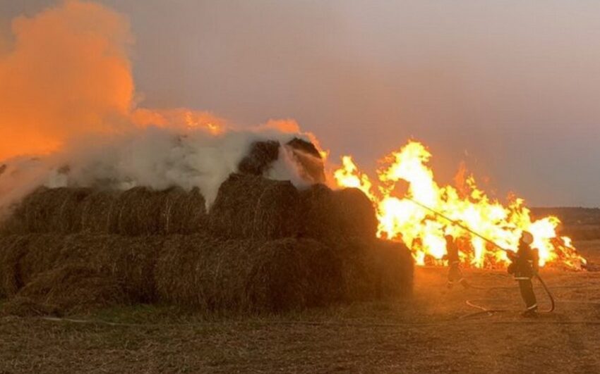 Вспыхнуло 750 тюков сена в воронежском селе Коротояк Происшествия. Криминал
