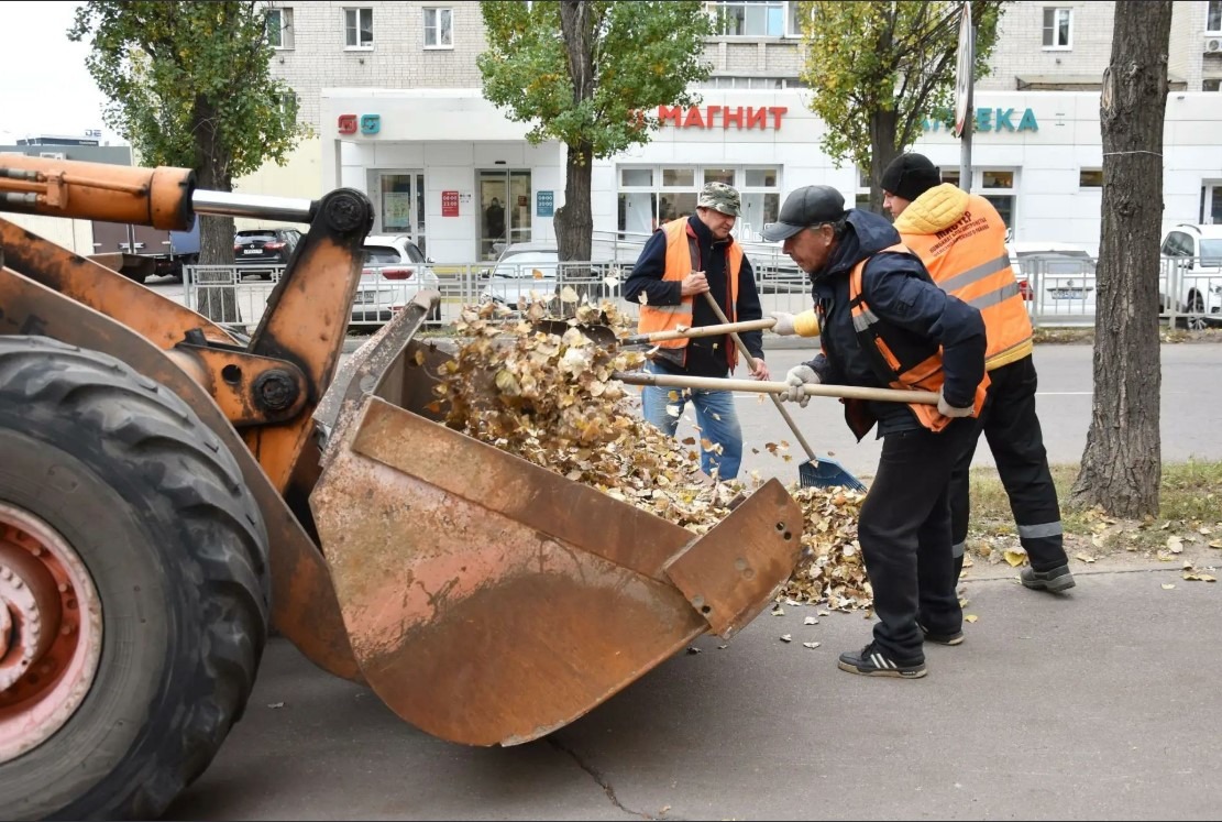 Официально