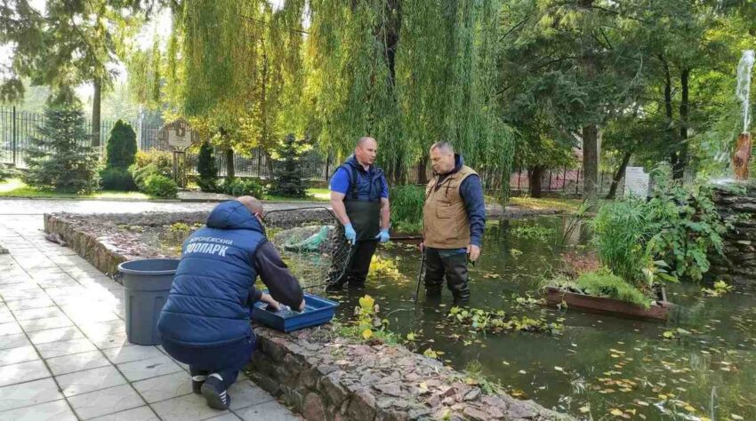 Фильм про зоопарк снимает в Воронеже Иван Затевахин Природа